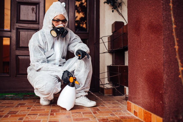 Reliable Wasp Removal contractor in Cheverly, MD by Show Me Pest Control