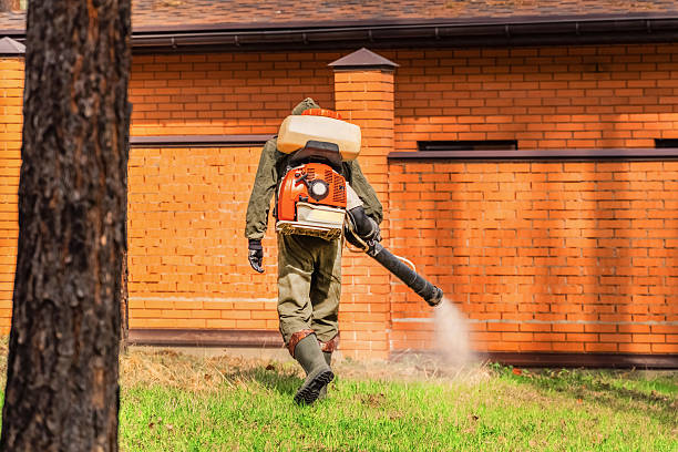 Top rated local Wasp Removal specialists in Cheverly, MD